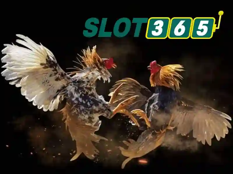 An toàn thanh toán và bảo mật