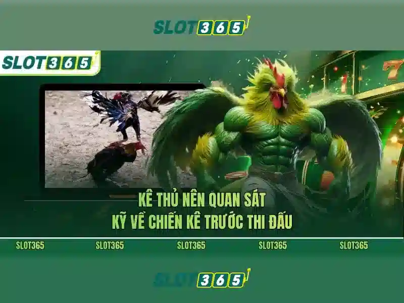 Slot365: Giới thiệu về nền tảng Slot365