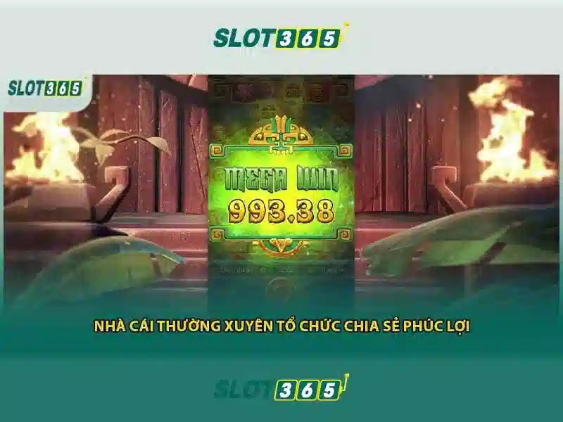 Các tính năng nổi bật