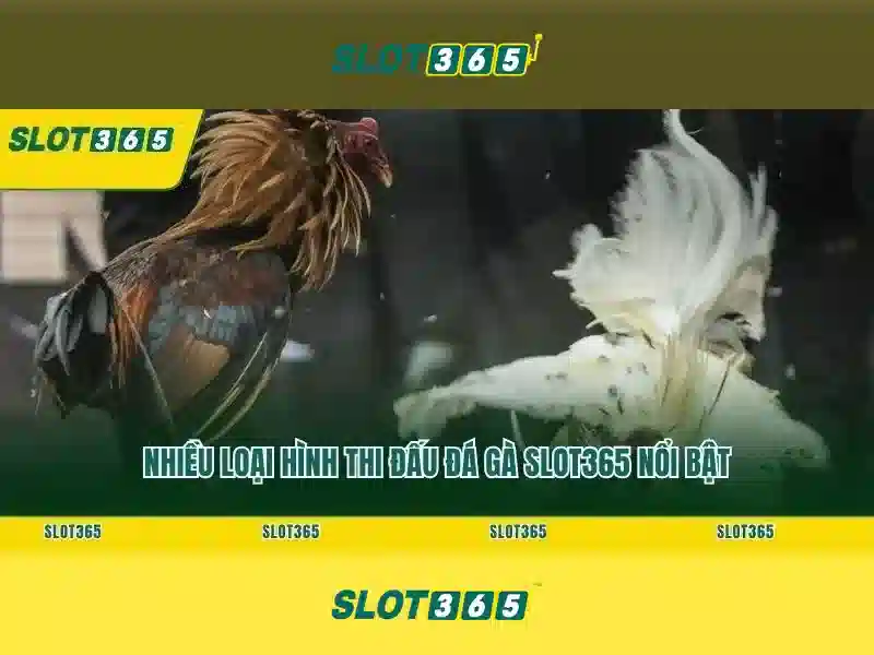 https://themontehouse.com/images/text/slot365/slot365-text64.webp Trải nghiệm người chơi và cộng đồng
