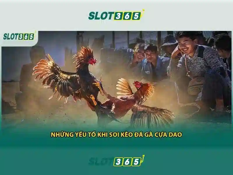 Slot365 - Nền tảng trò chơi máy xèng trực tuyến hàng đầu Giao diện nhà cái hoàn hảo