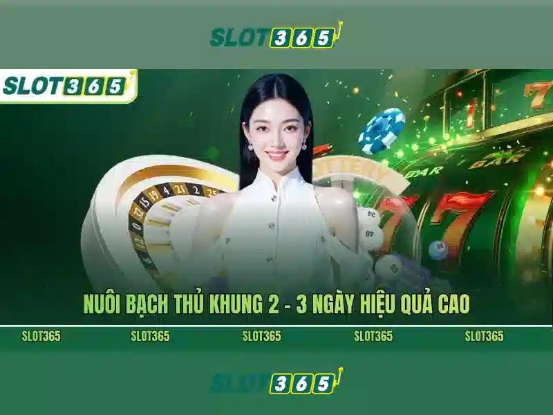 Slot365 - Tổng quan về nền tảng cược slot trực tuyến