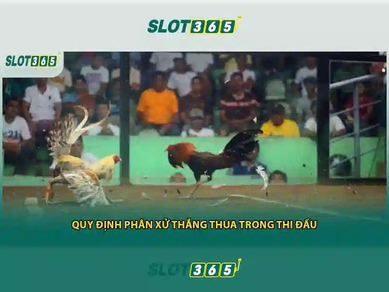 https://themontehouse.com/images/text/slot365/slot365-text260312656.webp 'Các tính năng nổi bật'