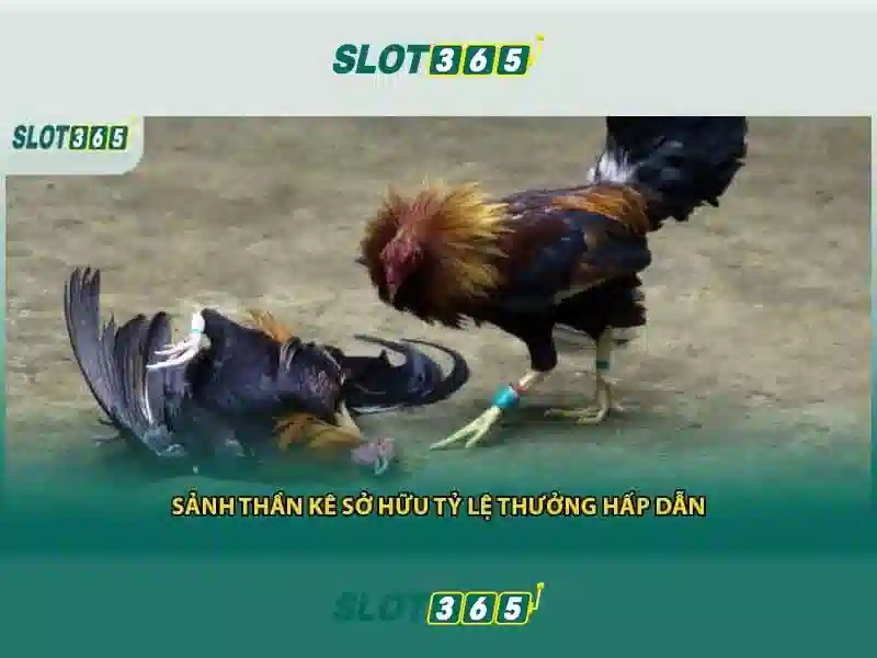 Slot365: Trải nghiệm máy xèng trực tuyến đỉnh cao