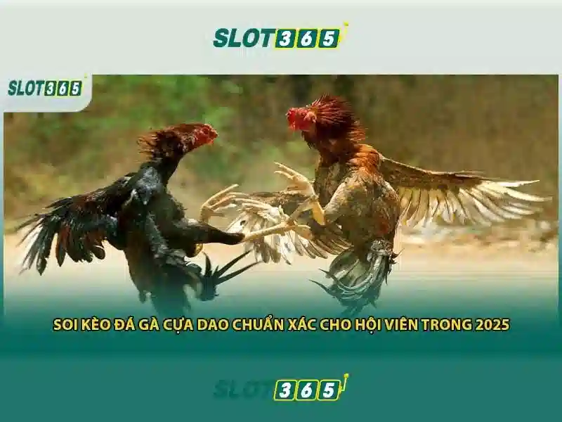 Giao diện nhà cái hoàn hảo