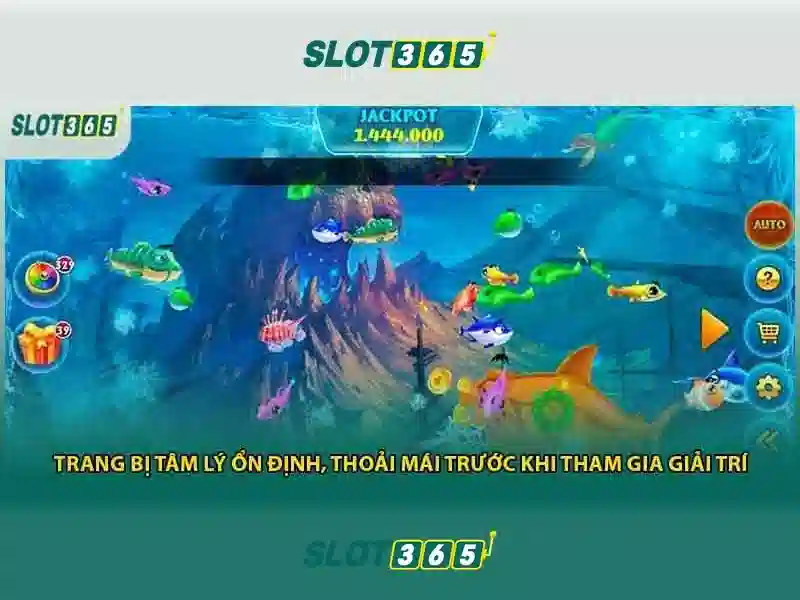 Trải nghiệm người dùng