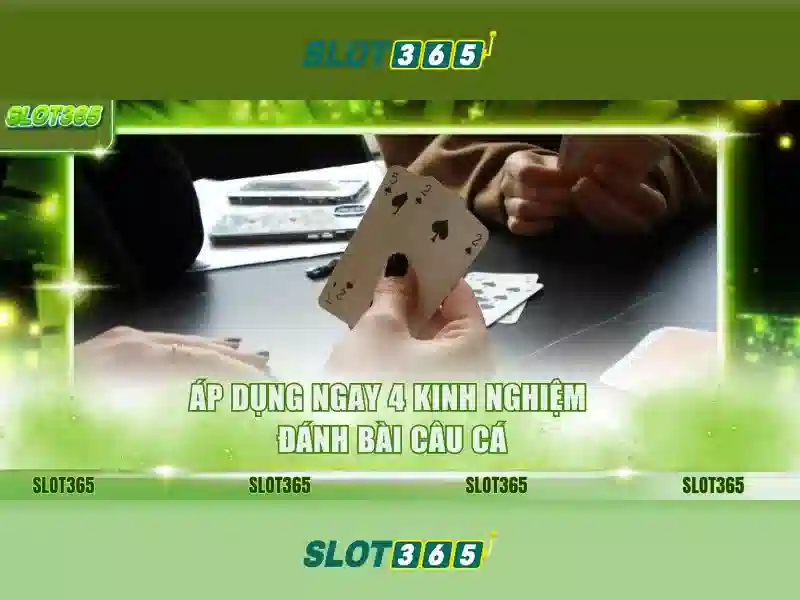 Slot365: Đánh giá và trải nghiệm