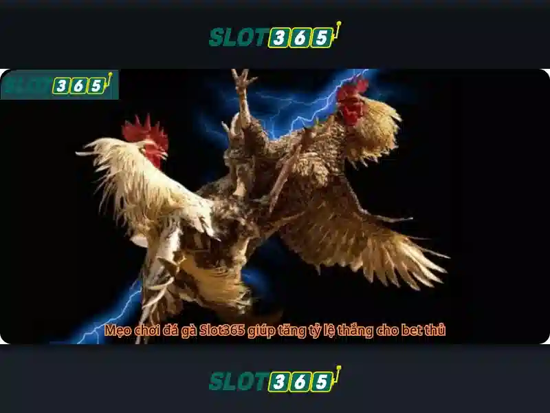 <!--IMG_PLACEHOLDER alt>UU diem noi bat cua slot365-->