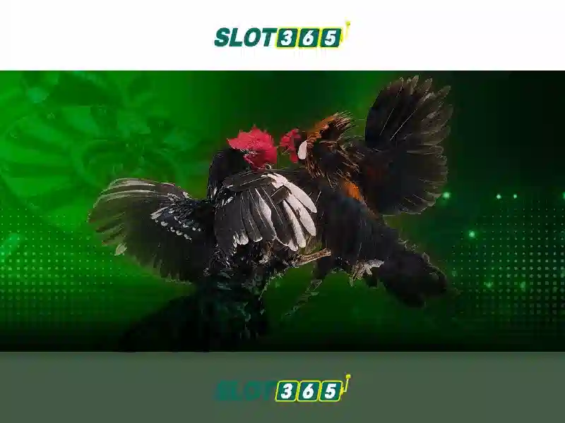 https://themontehouse.com/images/text/slot365/slot365-text260331871.webp Hướng dẫn chơi và mẹo quản lý ngân sách