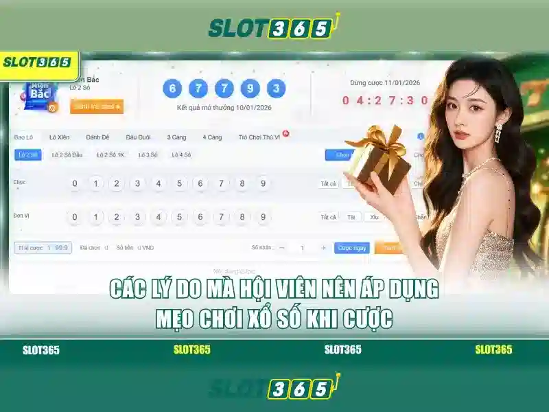 Slot365 là gì và vì sao được ưa chuộng