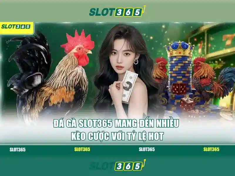 slot365. Tổng quan về chủ đề và giá trị cốt lõi
