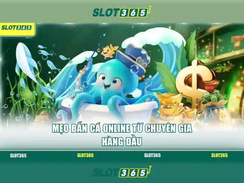 Slot365 – Nền tảng chơi slot trực tuyến nổi bật