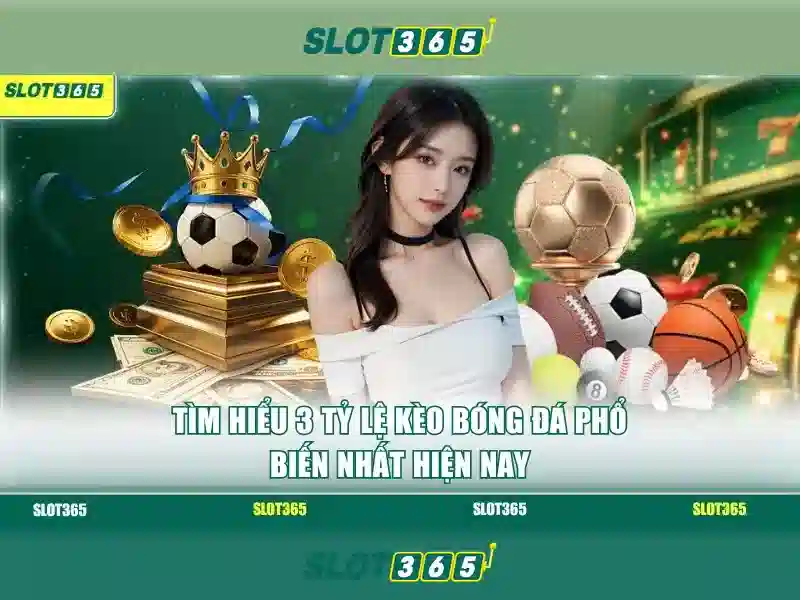 Slot365: Khám phá thế giới slot trực tuyến đầy màu sắc Giao diện nhà cái hoàn hảo