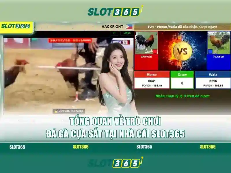 Slot365: Trải nghiệm chơi slot tuyệt đỉnh