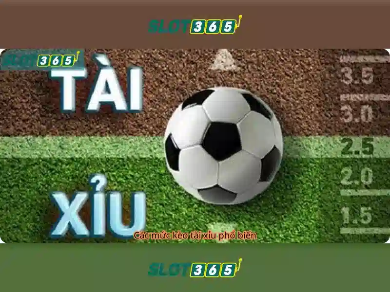 Slot365 - Khám phá nền tảng chơi slot hàng đầu Giao diện nhà cái hoàn hảo