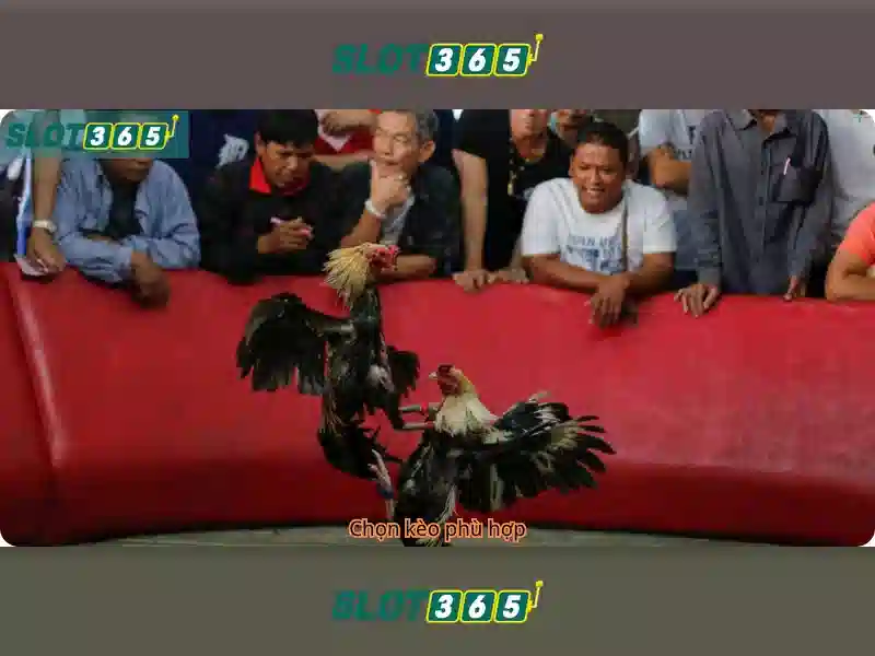 https://themontehouse.com/images/text/slot365/slot365-text260331604.webp An toàn và thanh toán