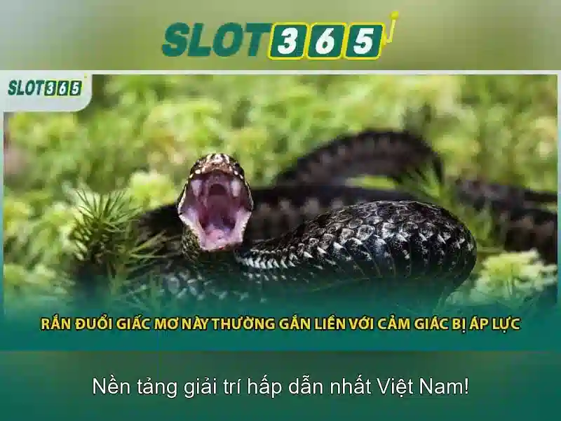 https://themontehouse.com/images/text/slot365/slot365-text260331437.webp Slot365 là gì?