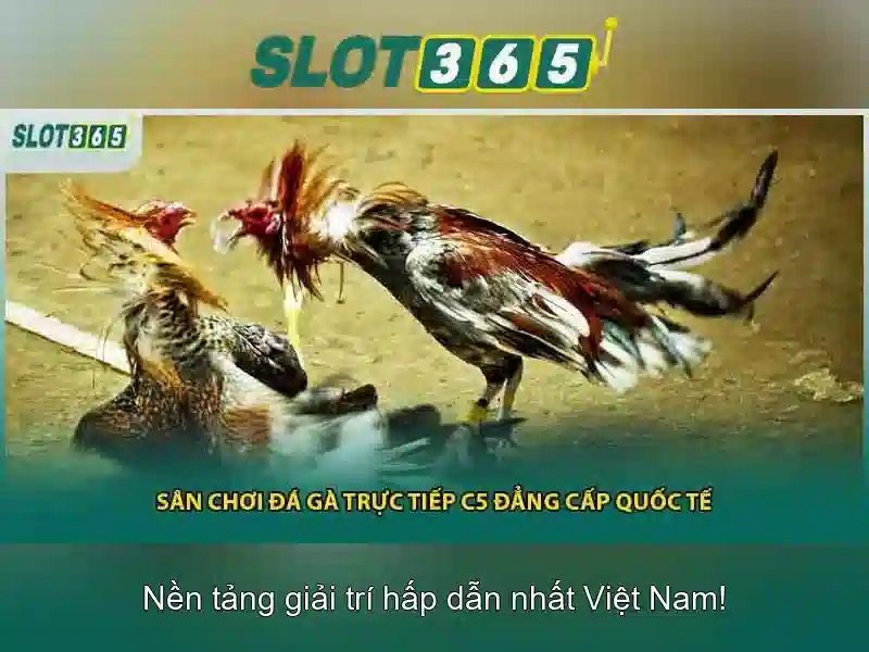 Slot365 là nền tảng giải trí trực tuyến hàng đầu