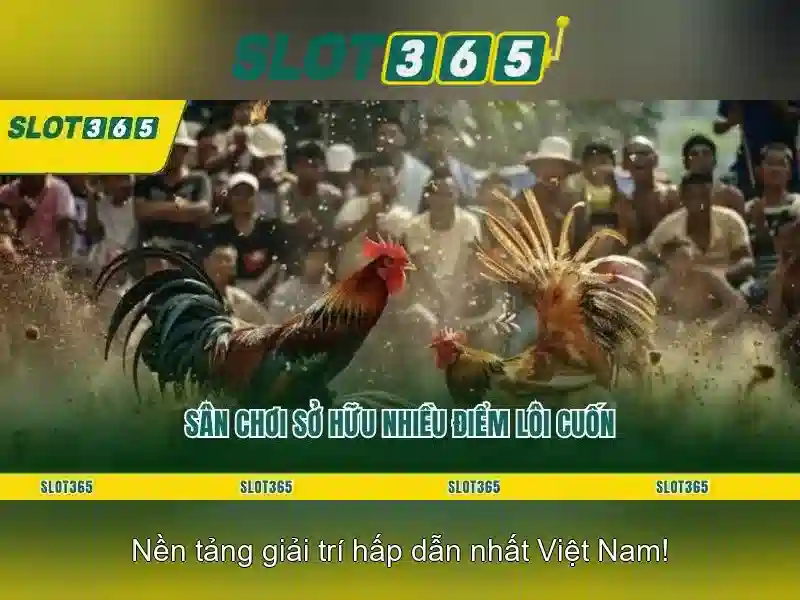 Giao diện nhà cái hoàn hảo