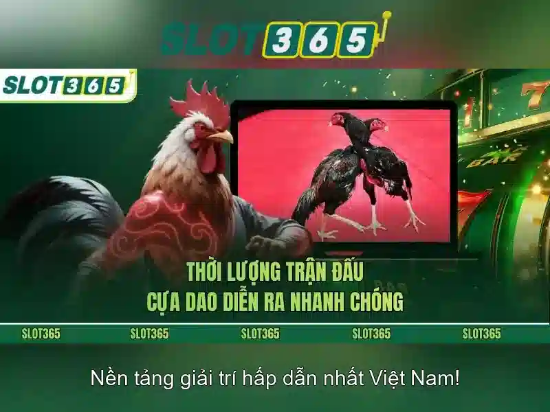 https://themontehouse.com/images/text/slot365/slot365-text260312539.webp Ưu điểm nổi bật của Slot365