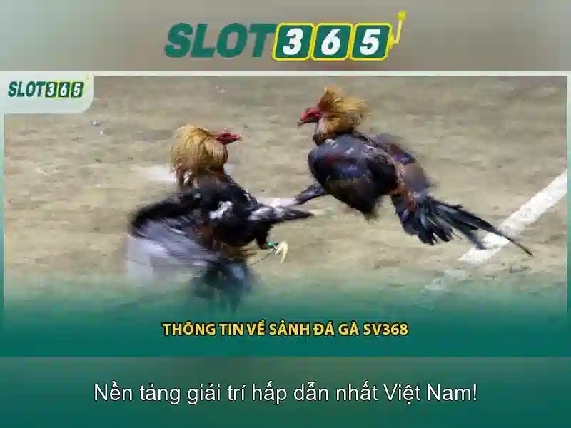 Slot365 - Đánh giá nhanh và hướng dẫn chơi Giao diện nhà cái hoàn hảo