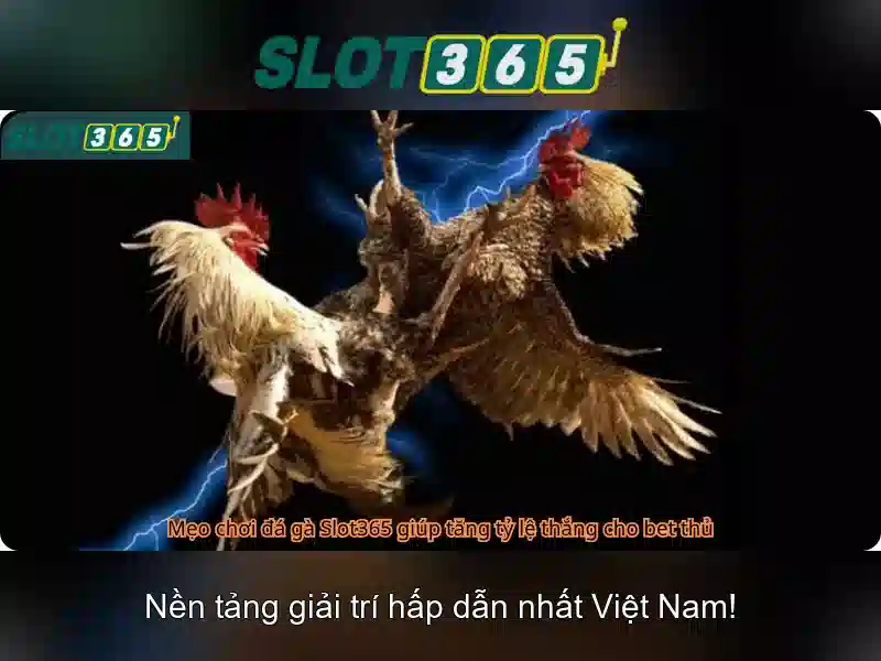 Giao diện nhà cái hoàn hảo