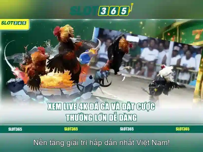 https://themontehouse.com/images/text/slot365/slot365-text593.webp Danh mục trò chơi và nhà phát triển