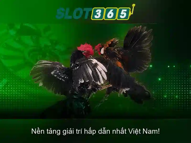 https://themontehouse.com/images/text/slot365/slot365-text509.webp Trải nghiệm người dùng và thiết kế