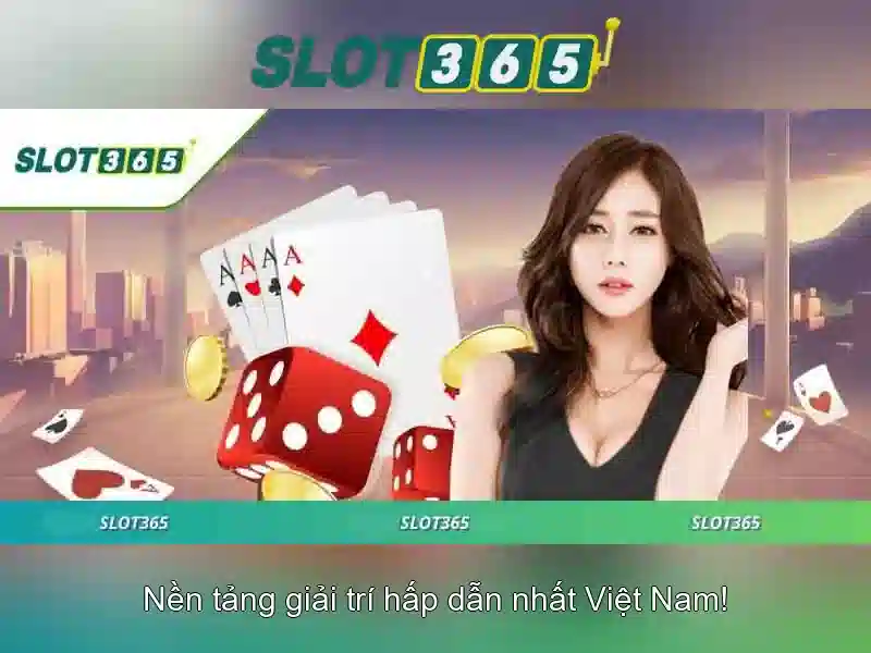 Trải nghiệm người dùng