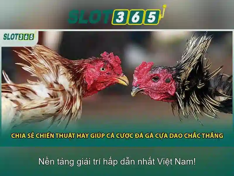 https://themontehouse.com/images/text/slot365/slot365-text260312663.webp Khuyến mãi và chương trình thưởng