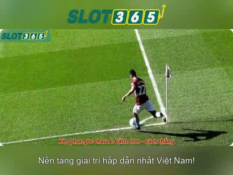 Slot365 là gì và cách chơi hiệu quả? Giao diện nhà cái hoàn hảo