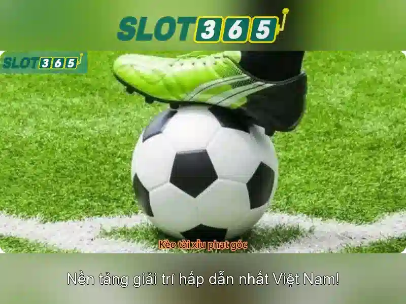 Hướng dẫn đăng ký và hỗ trợ khách hàng