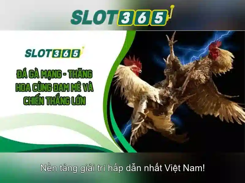 Slot365 - Trải nghiệm casino slots trực tuyến hàng đầu
