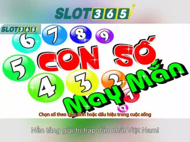 heylink slot365 login – Trải nghiệm Slot365 an toàn
