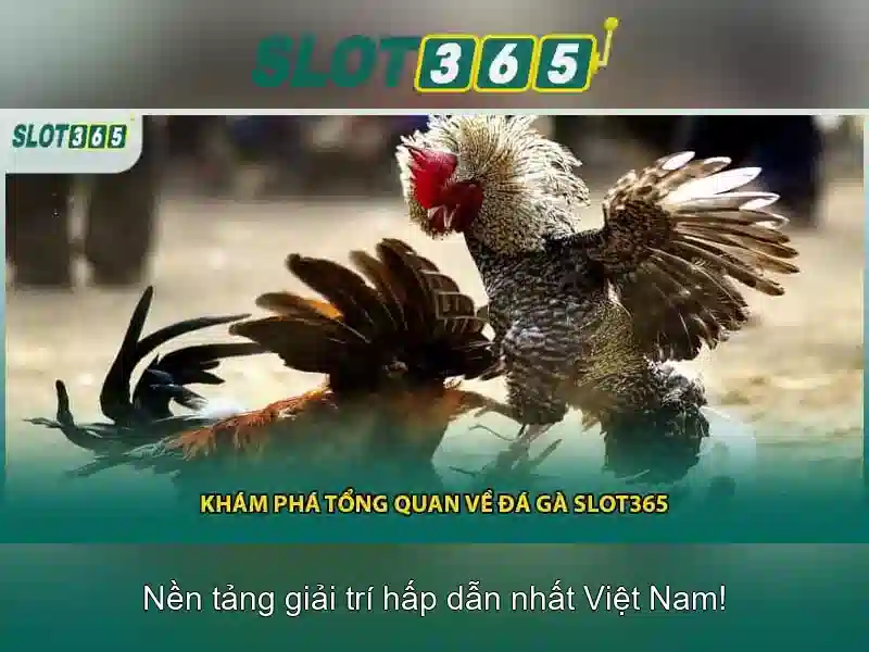 Trải nghiệm di động và đăng ký