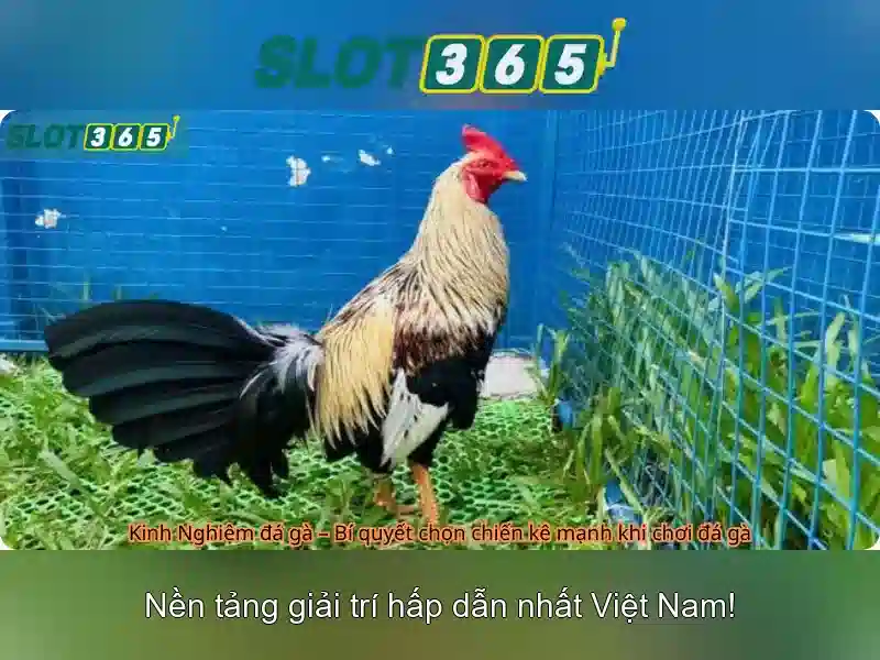 slot365 alternatif – Nguồn gốc và sứ mệnh