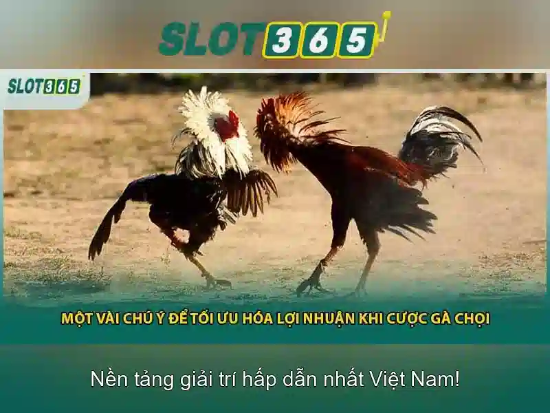 Đa dạng các trò chơi và chủ đề