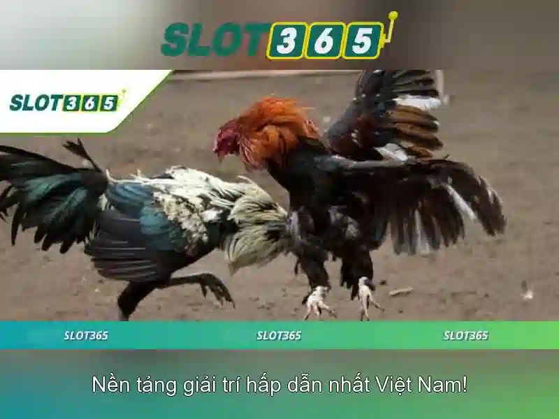 An toàn và bảo mật