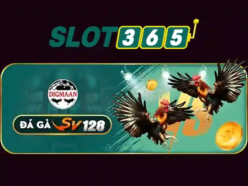 slot365 là gì – Tổng quan chủ đề và giá trị cốt lõi