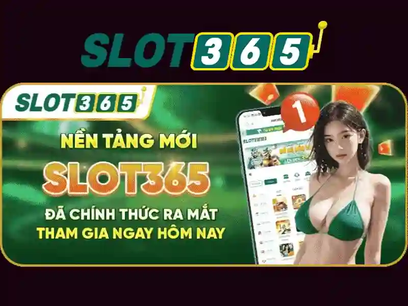 Trải nghiệm người dùng và trò chơi slot