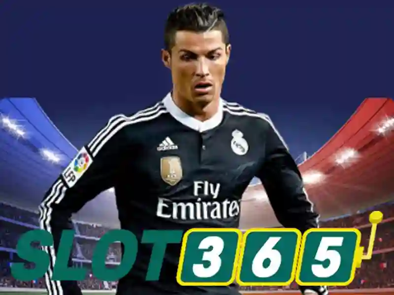 Slot365 là gì và tại sao nó thu hút người chơi Giao diện nhà cái hoàn hảo